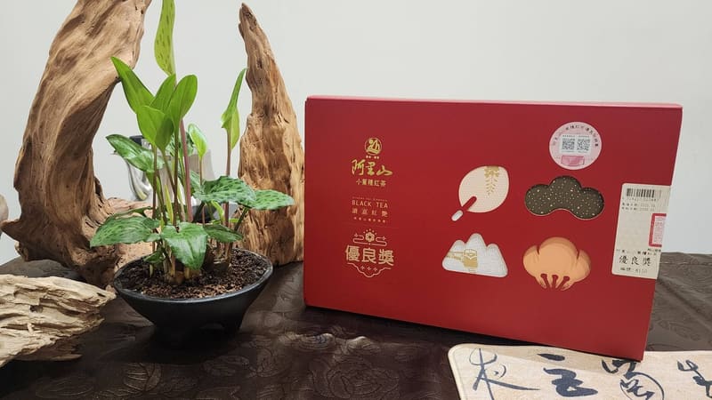 手捏茶壺作品 - 南投文化中心參展陶藝